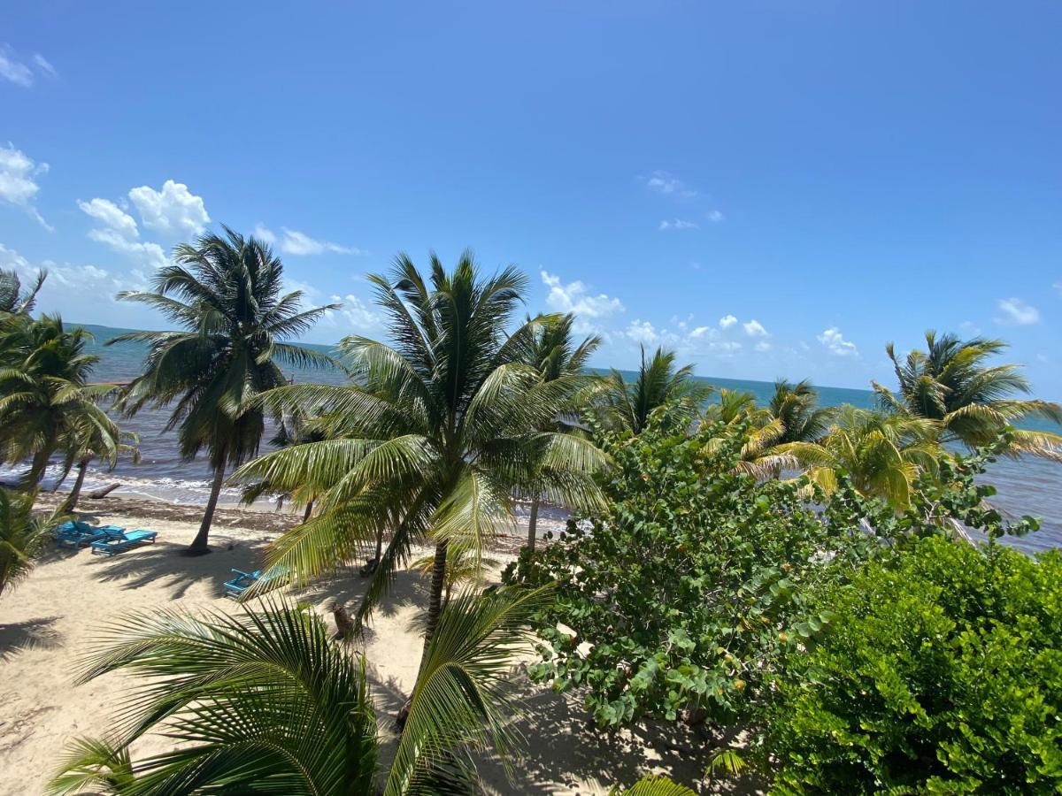 Tranquility Beach Suites Placencia Ngoại thất bức ảnh